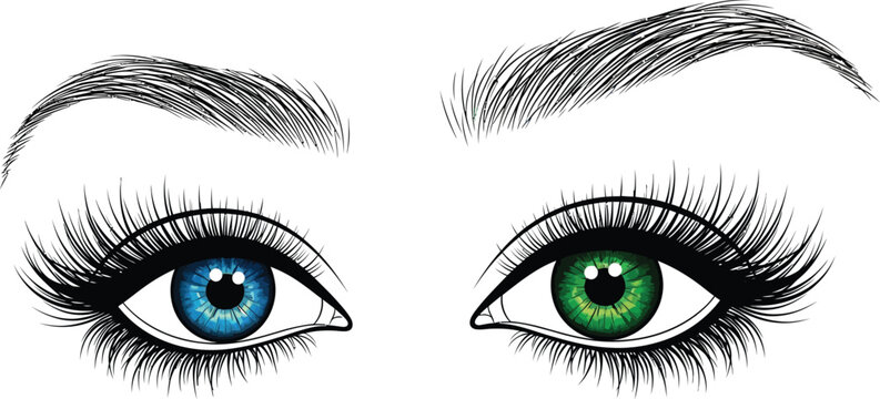 Close-up of a pair of human eyes with blue and green irises, detailed eyelashes, and eyebrows on a white background