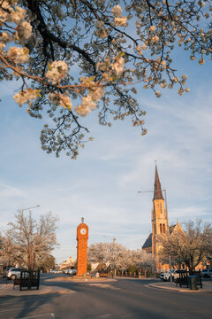 Springtime blossoms frame a small town roundabout with a clock tower and church spire