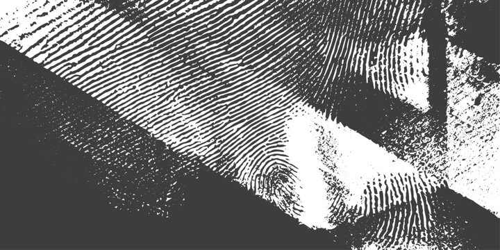 Black and White Abstract Grunge Fingerprint Texture Vector Background with Distressed Grain and Curved Lines