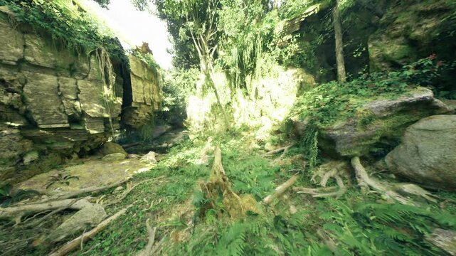 bright forest ravine framed by ferns and boulders, limestone walls with textured strata, shaded pathway for botanist fieldwork and eco tour, vibrant canopy