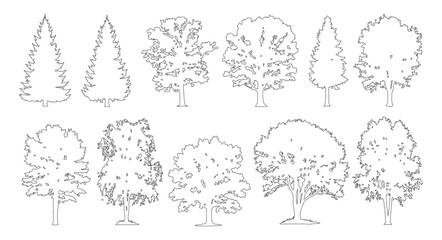 Minimal style cad mixed spruce and broadleaf tree line drawing, Side view, set of graphics trees elements outline symbol for architecture landscape design. Vector illustration. forest garden section  © Addictive Stock
