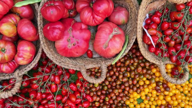 Fresh organic tomatoes assortment at farmers market, colorful variety of red pink yellow and black cherry tomatoes in wicker baskets, ripe juicy harvest, healthy raw food background top view.