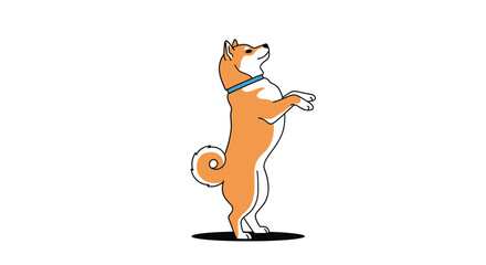 Fototapeta premium Happy Shiba Inu dog stands on its hind legs with a blue collar, looking upwards in a cheerful and playful illustration on a white background.