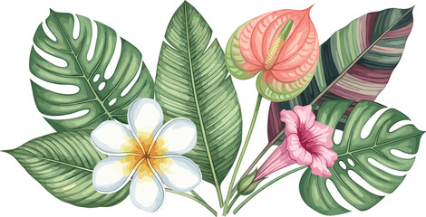 Watercolor Tropical Floral Arrangement with Monstera Leaves, Plumeria, Anthurium, and Hibiscus for Nature and Botanical Designs © Mdsurjo