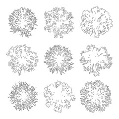 Minimal style cad tree line drawing, Top view, set of graphics trees elements outline symbol for architecture and landscape design drawing. Vector illustration. outdoor garden plan section  © Addictive Stock