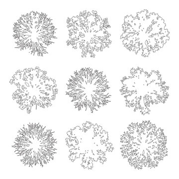 Minimal style cad tree line drawing, Top view, set of graphics trees elements outline symbol for architecture and landscape design drawing. Vector illustration. outdoor garden plan section
