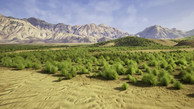 Compact clusters of young shrubs extend over flat terrain. Thick young plant groupings stretch across open spaces with distant mountain summits