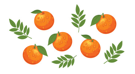 Obraz premium A collection of multiple fresh round oranges scattered with green leaves and sprinkled with realistic water droplets across a clean white background.