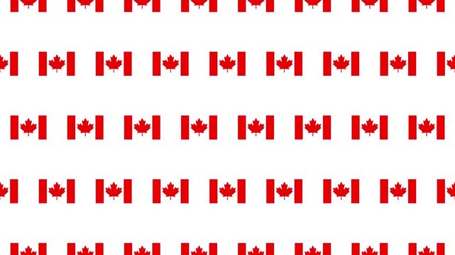 Red Canada flag pictograms move upward in a seamless loop on white background, creating a clean repeating pattern. Suitable for Canada-themed motion backgrounds, and patriotic visuals.