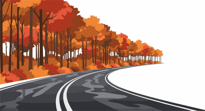 Autumn trees line a wet asphalt road curving to the right