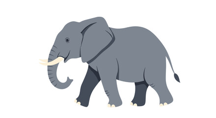 Fototapeta premium Illustration of a large grey African elephant walking with its trunk curved and tusks visible on a clean white background for wildlife themes.