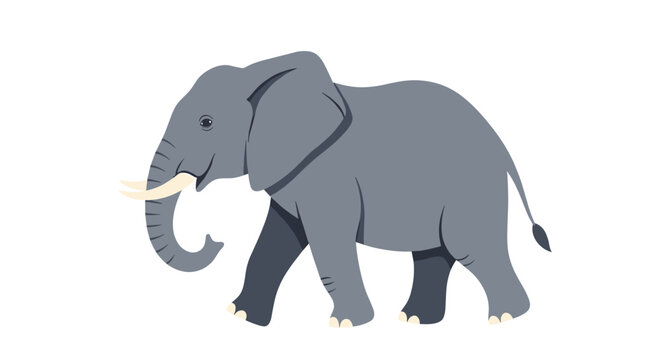 Illustration of a large grey African elephant walking with its trunk curved and tusks visible on a clean white background for wildlife themes.