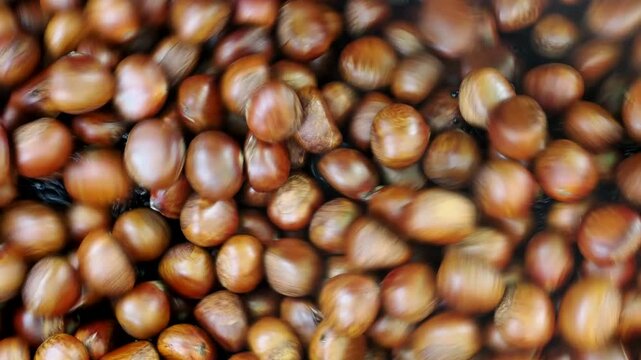 Close-up of a large group of red chestnuts.