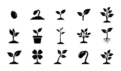 Plant growth stages icon set, black sprout and seedling vector silhouettes, 15 nature growth symbols for gardening and agriculture design © Shanjida