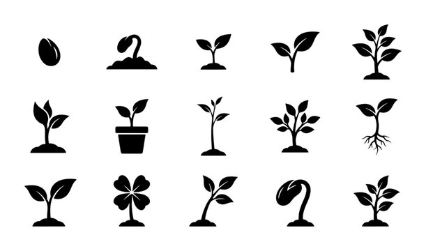 Plant growth stages icon set, black sprout and seedling vector silhouettes, 15 nature growth symbols for gardening and agriculture design