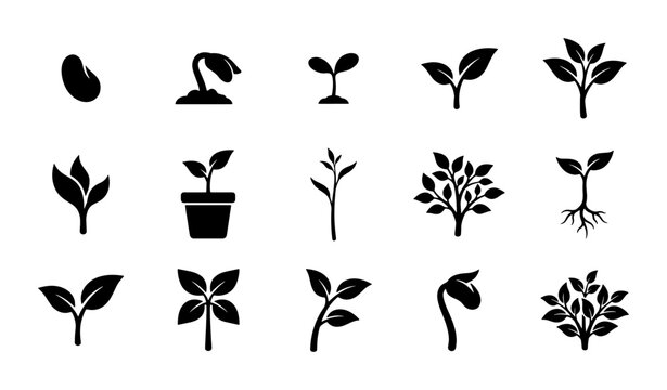 Minimalist plant growth icons, 15 black seedling and sprout vector elements, botanical life cycle symbols for gardening and agriculture apps