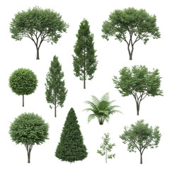Obraz premium Collection of diverse green trees and plants