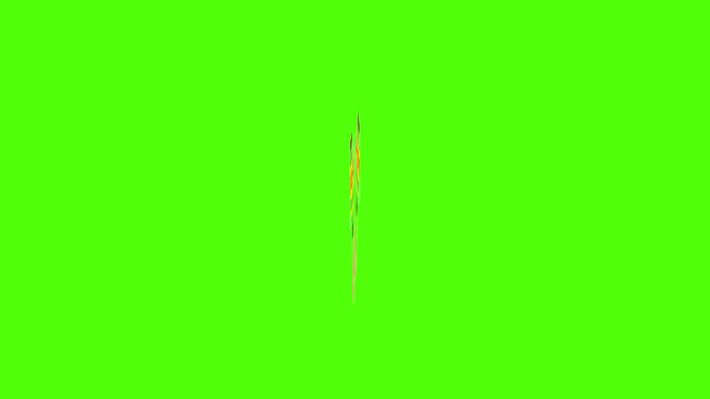 Animated Maracas on Green Screen Background.