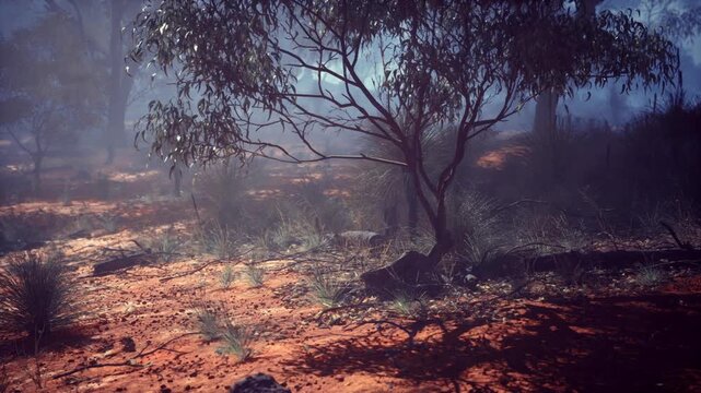 misty gumtree forest at dawn with soft blue light, damp leafstrewn ground, low fog weaving through branches, long shadows and quiet atmosphere evoking solitude