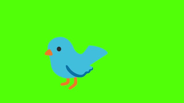Cute Blue Bird Walking on Green Screen Background Animation.