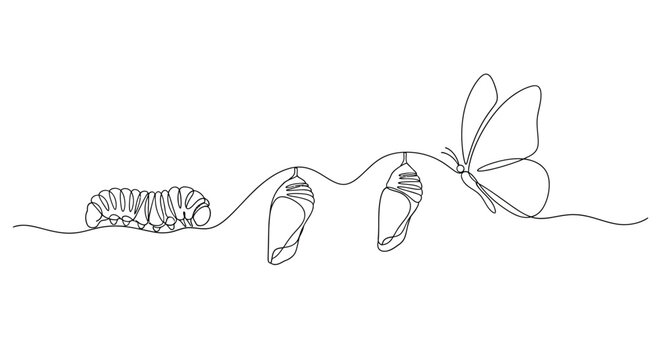 Illustration of butterfly life cycle: caterpillar pupa butterfly with butterfly, caterpillar
