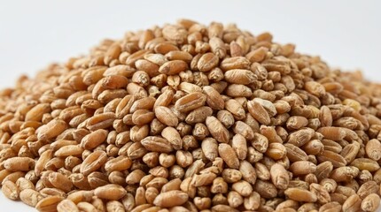 Fototapeta premium Close-up of a Pile of Wheat Grains, Healthy Food Concept for Nutrition