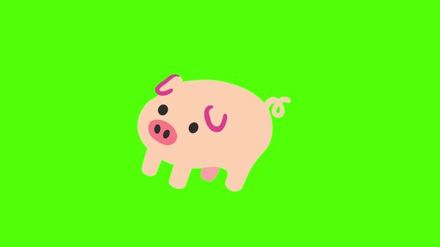 Cute cartoon pig animation on a green screen background.