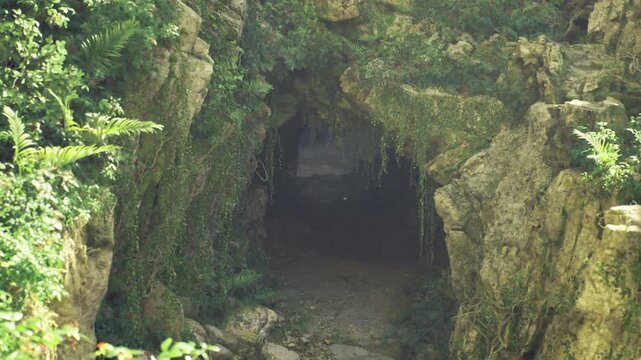 Moss covered cave entrance in forest, dark interior framed by thick moss and vines, rough limestone walls creating shadowed passage, dappled sunlight on outer