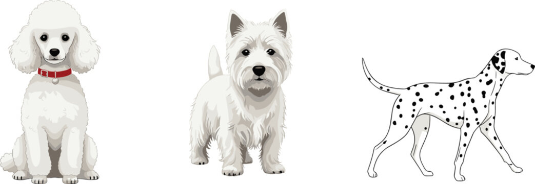 Cartoon Dog Illustration Set Featuring Poodle, Westie, and Dalmatian Breeds for Pet, Animal, and Dog Lovers Designs