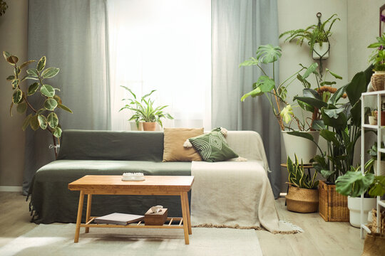 Wide shot of living room featuring sofa surrounded by indoor plants, presenting biophilic home decor and sustainable lifestyle concept. Supporting interior design, real estate, wellness branding