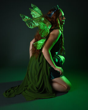 portrait of female model wearing fantasy fairy costume, green dress, cloak, butterfly wings and crown. full length sitting pose, kneeling on floor, dark studio background.