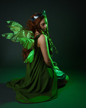 portrait of female model wearing fantasy fairy costume, green dress, cloak, butterfly wings and crown. full length sitting pose, kneeling on floor, dark studio background.