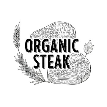 Organic Steak Hand Drawn Illustration with Wheat and Herbs