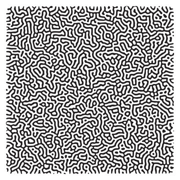 Turing texture pattern design. Chemical morphogenesis concept. Vector illustration