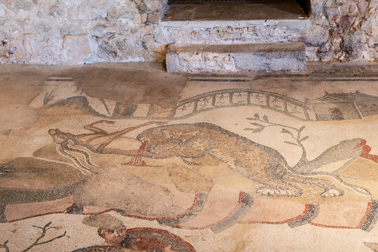 leopard devouring a gazelle, ambulatory of the great hunt, mosaics, Roman Villa of Casale, Piazza Armerina, Sicily, Italy, Europe