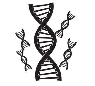 Abstract illustration showcasing the intricate double helix structure of DNA, representing fundamental concepts in genetic biology and scientific research and development