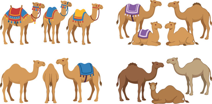 A detailed collection of thirteen cartoon camel illustrations featuring dromedaries in various poses, including standing, sitting, and decorated with colorful traditional saddles and blankets.