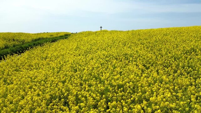 Flying over a rapeseed flied in bloom into the direction of a cross