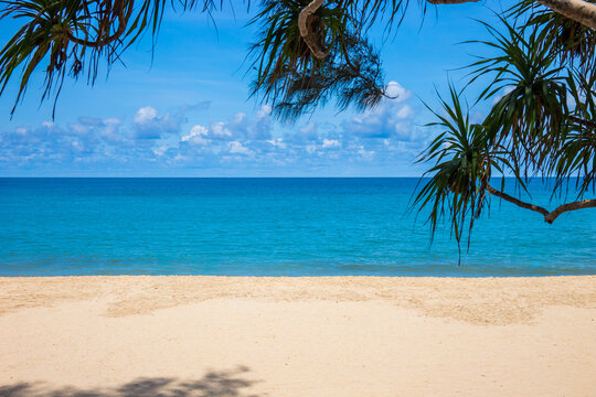 Kata Beach and Karon Beach, with their white sand, beautiful sky, and shady trees in Phuket, Thailand. Copy space background