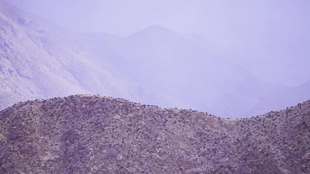 Violet gradients sweep Mongolian mountain folds, soft color transitions and layered silhouettes create ethereal mood, ideal for calming brand visuals,