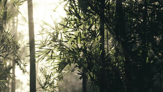 Backlit bamboo leaves with glowing edges and high contrast silhouettes, sunlight piercing thin blades, delicate textures and airy bokeh creating intimate