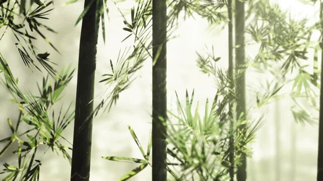 Sunlit bamboo stalks and leaves, soft morning mist, muted green palette, delicate leaf texture, shallow depth, tranquil spa and meditation mood, perfect