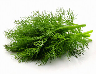 Fototapeta premium Vibrant fresh green dill sprigs isolated on a white background. This clean studio shot showcases the delicate texture of the culinary herb, perfect for food, cooking, and healthy diet themes.