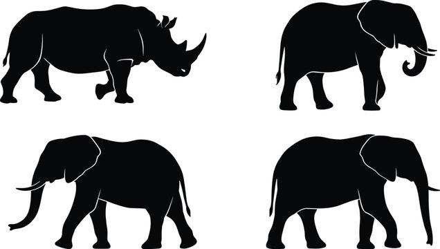 Silhouettes of rhinoceros and elephants highlighting distinct horns, trunks, tusks, and body structures in profile