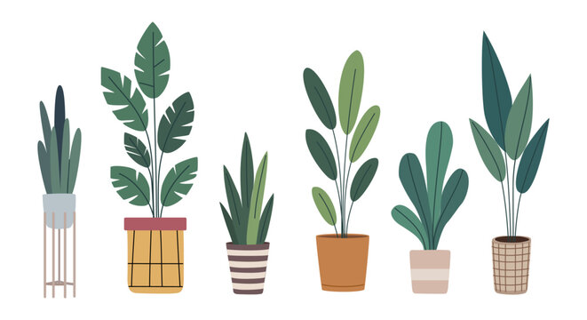 Hand-drawn potted plants in varied shapes and pots. Each plant has distinct leaves, sizes, and container styles. Soft tones create a calm, natural vibe. Perfect for interior design or wellness themes