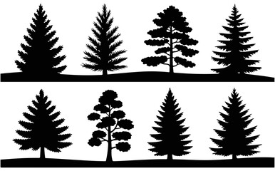 Obraz premium Pine tree silhouettes on hills pine trees landscape