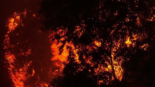 Aerial nighttime view of a powerful wildfire engulfing trees, bright flames contrasting the dark landscape, emphasizing global concerns around climate change, pollution, and ecosystem loss. 4k.
