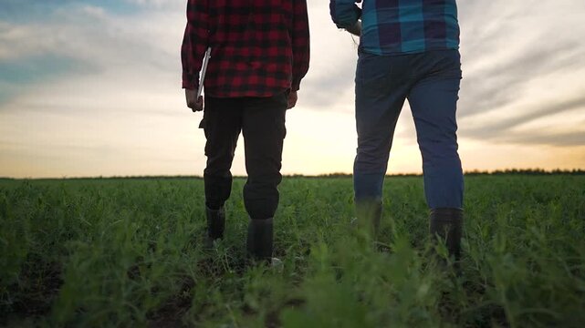 Farmer adjusts hat while man walks. Grass underlines teamwork on outdoor field. Talk grows steady between them. Nature shapes field view. Farmer and man walk side side. Trust grows grass under sunset.