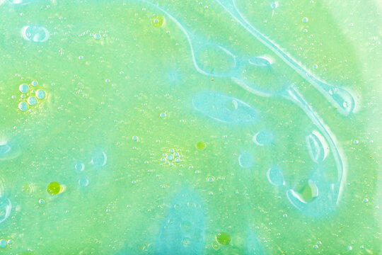 tulips, flowers, field, garden, colorful, Banner, growth, sunlight, pink, red, white, green, bloom, plant, nature, spring, petal, leaf, outdoor, landscape, background, closeup, copy space, flora, bota