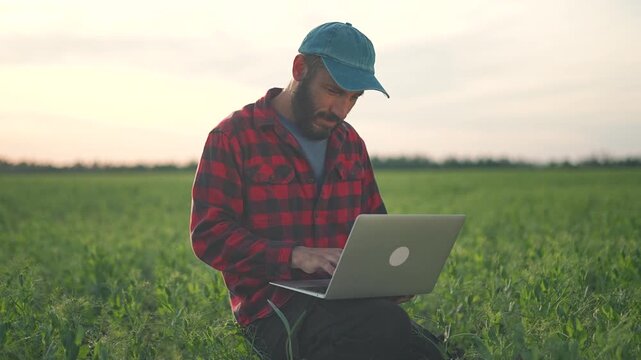 Farmer inspects plant hand while looking at laptop. Agriculture becomes modern through technology. Checking plant health is key. Man blends laptop with field work. Computer essential for agriculture.